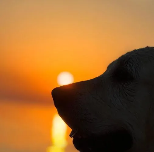 Ad Astra アパート